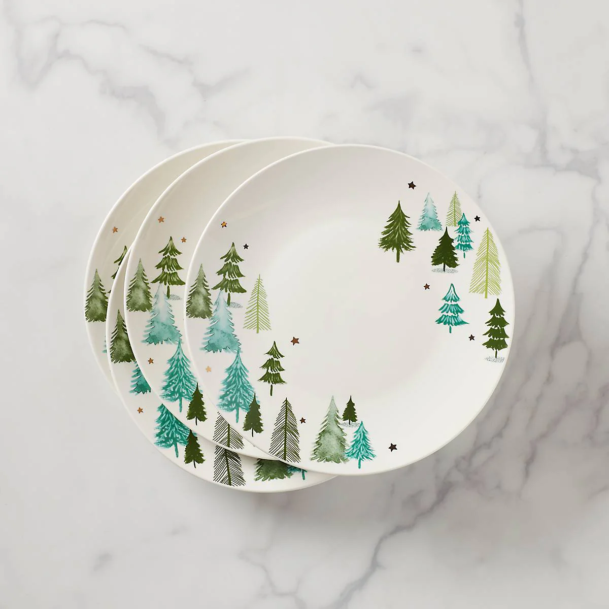 Balsam Lane Dinner Plates, Set of 4 - Image 4