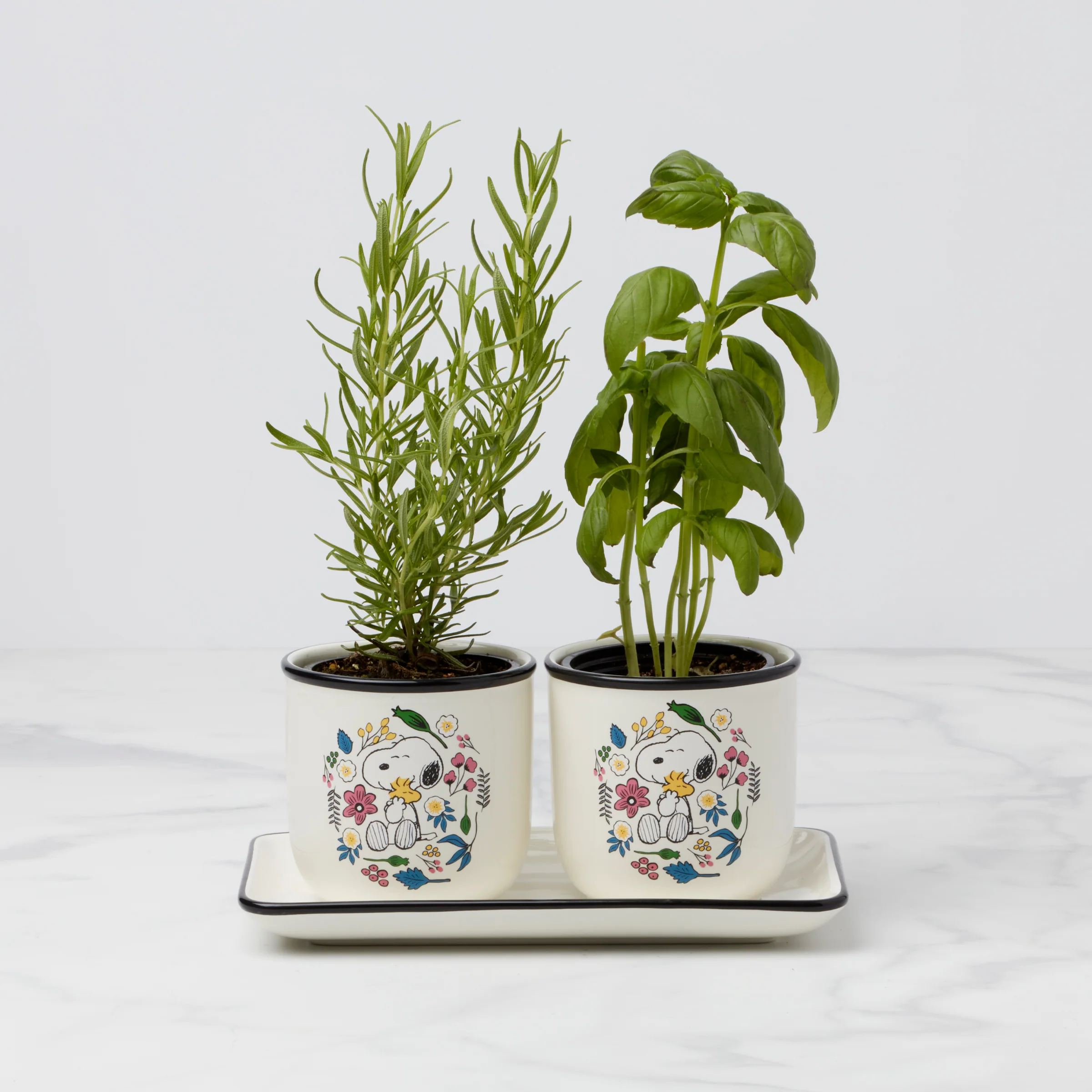 Chef Snoopy Herb Pots - Set Of 2 - Image 3