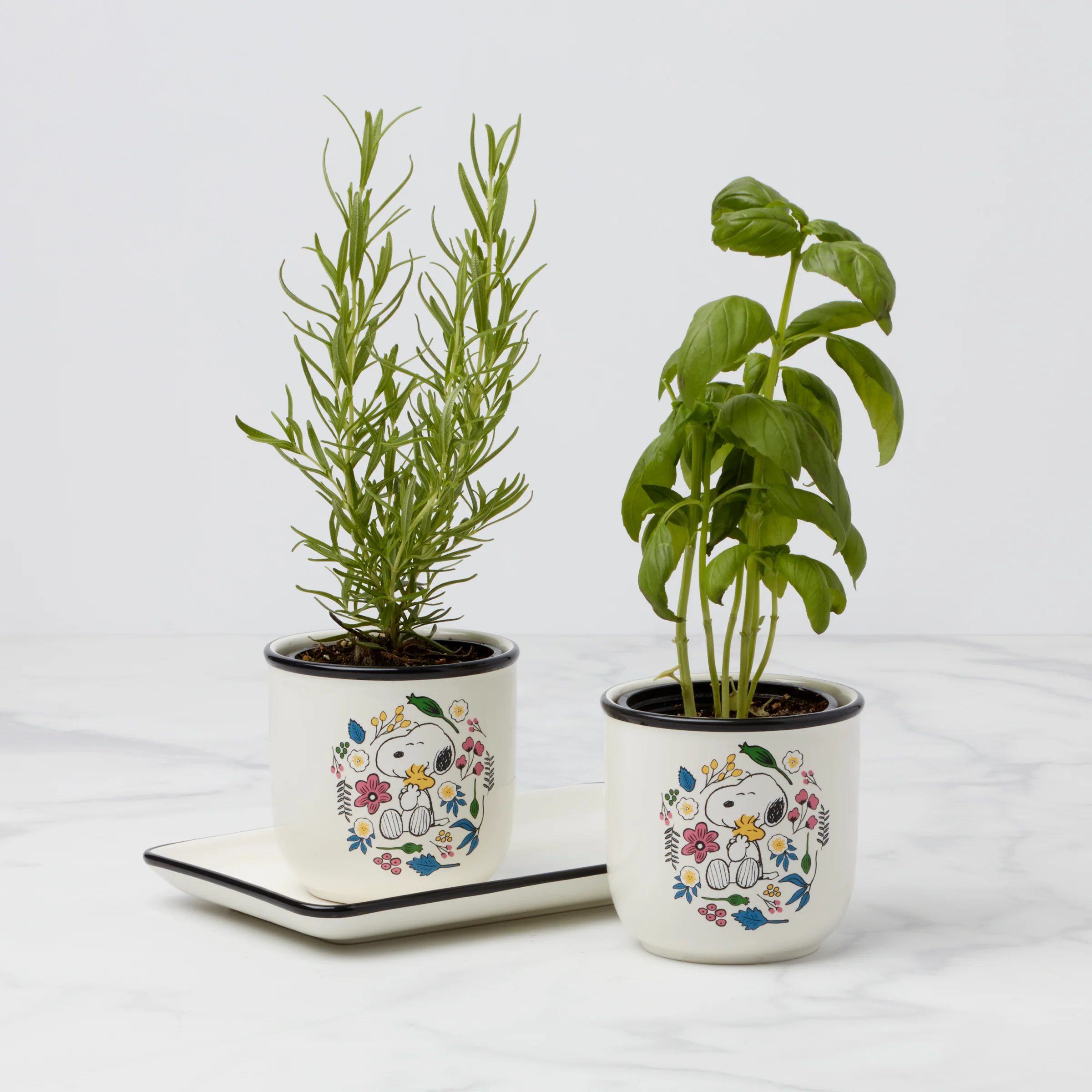Chef Snoopy Herb Pots - Set Of 2 - Image 4