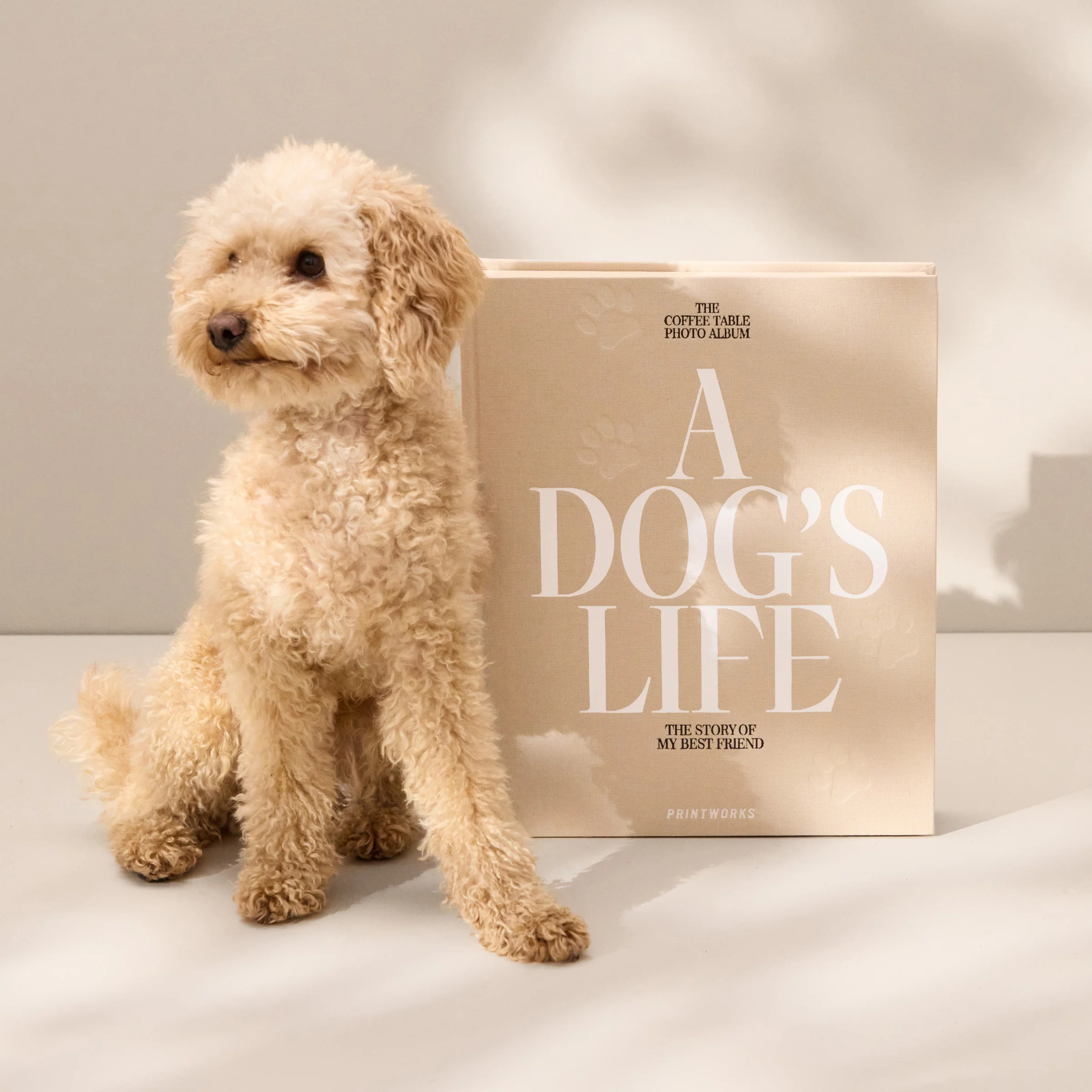 A Dog’s Life Photo Album - Image 3