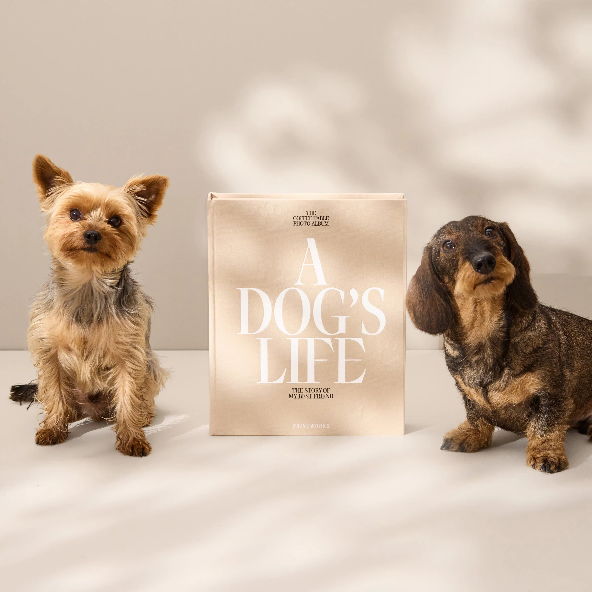 A Dog’s Life Photo Album - Image 4
