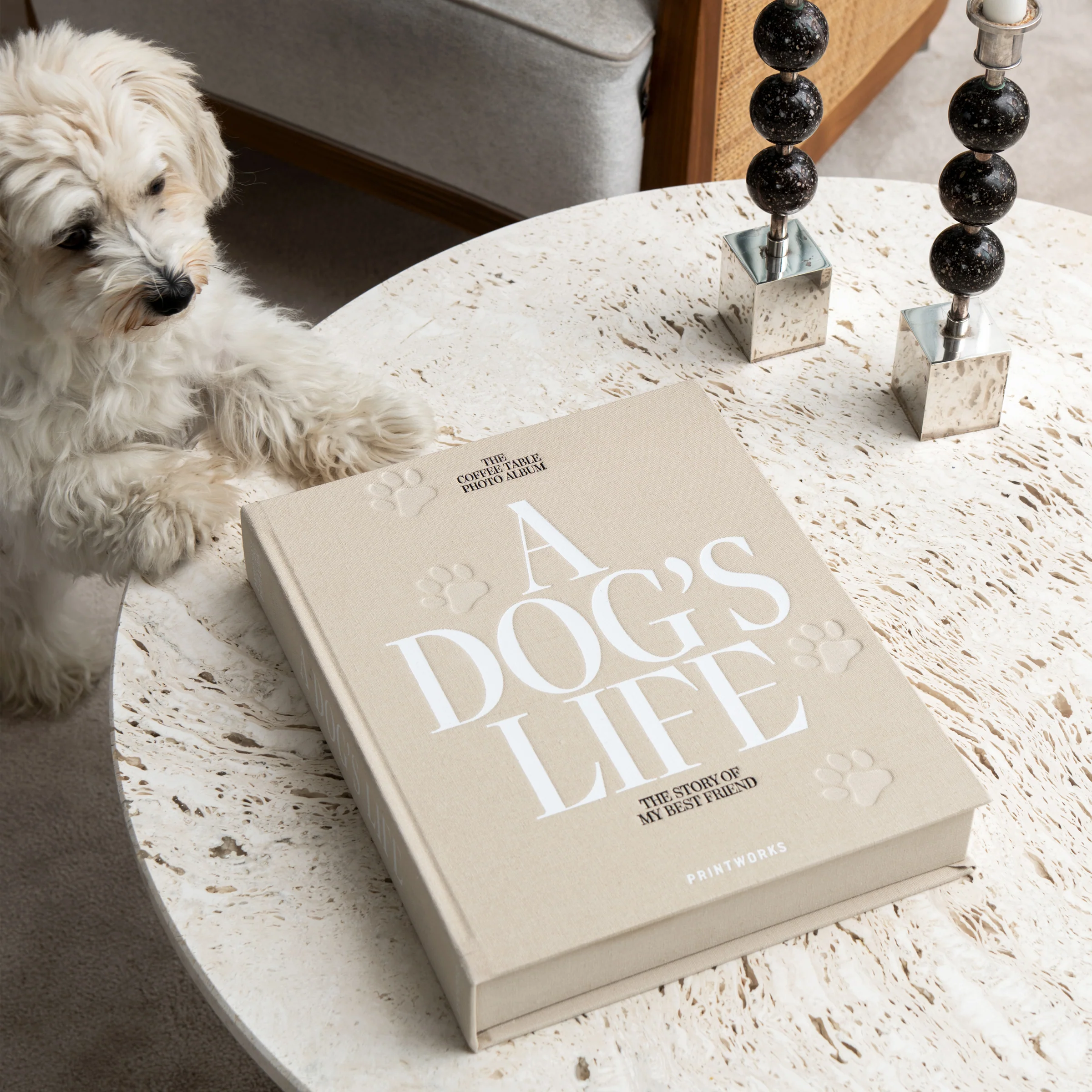 A Dog’s Life Photo Album - Image 6