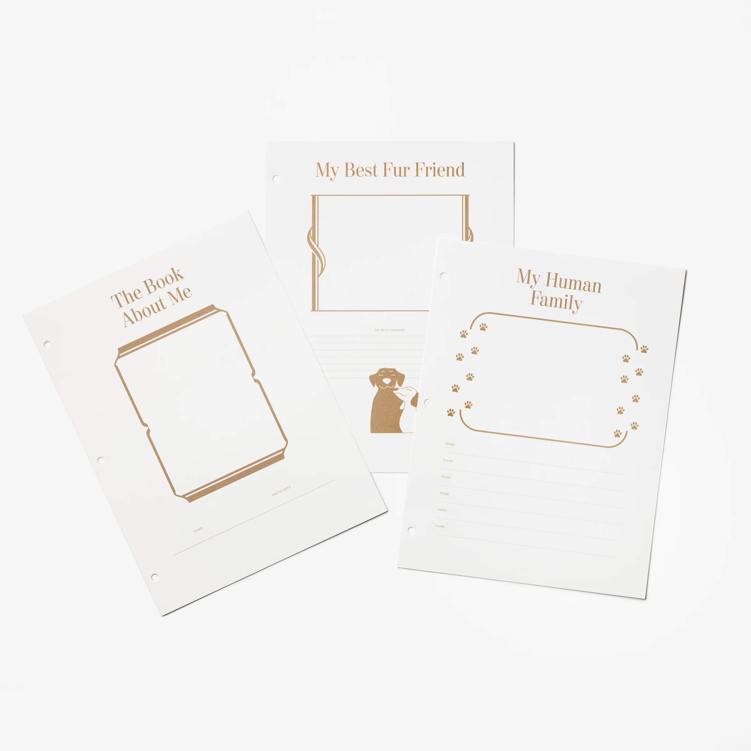 A Dog's Life Photo Album Paper, 10 Pages