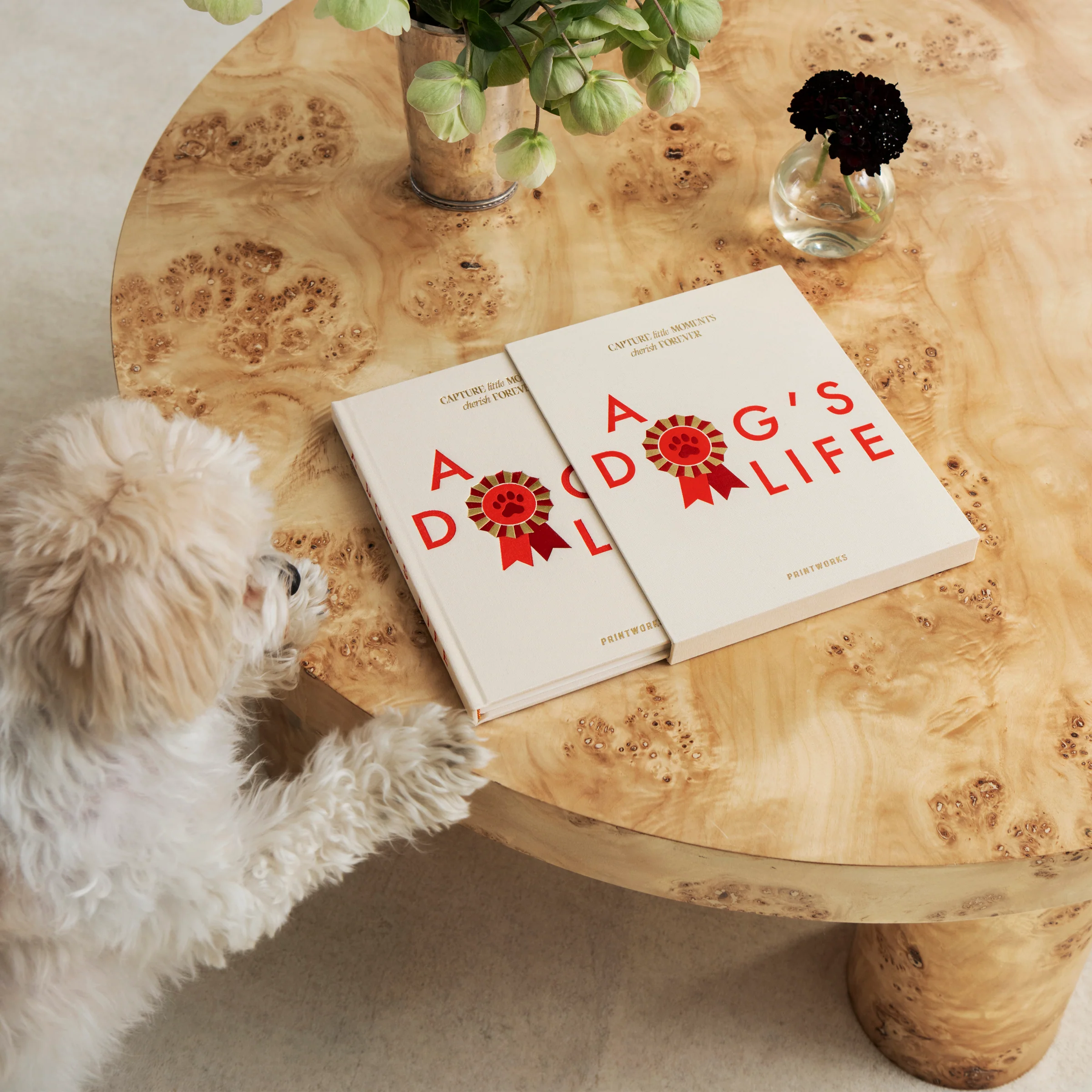 A Dog's Life Fill-In Journal - Image 4