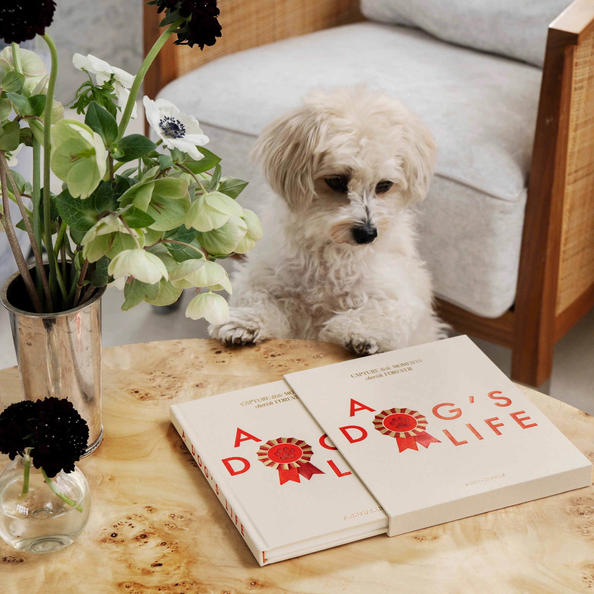 A Dog's Life Fill-In Journal - Image 5