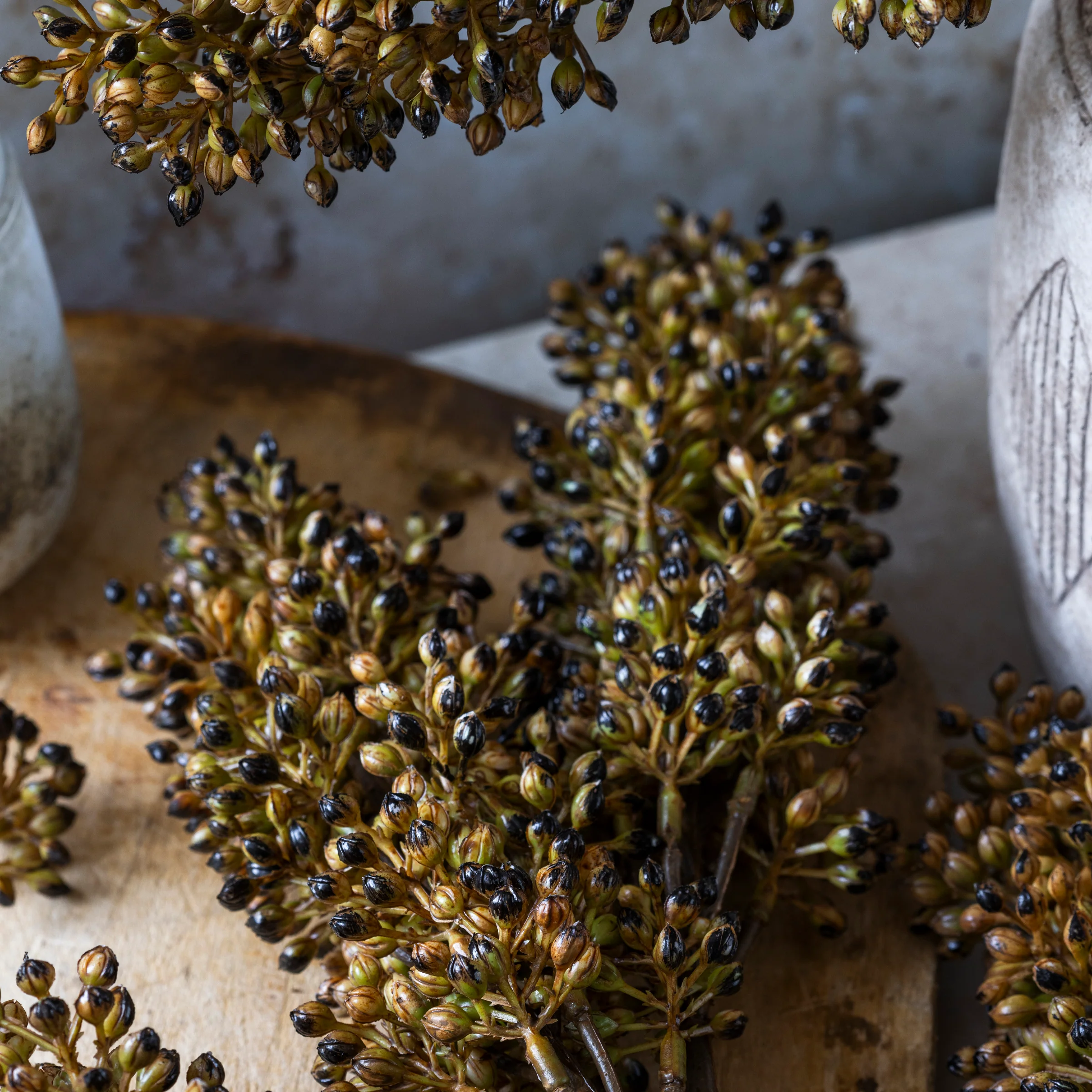 Artificial Sorghum Stem, Umber - Image 3
