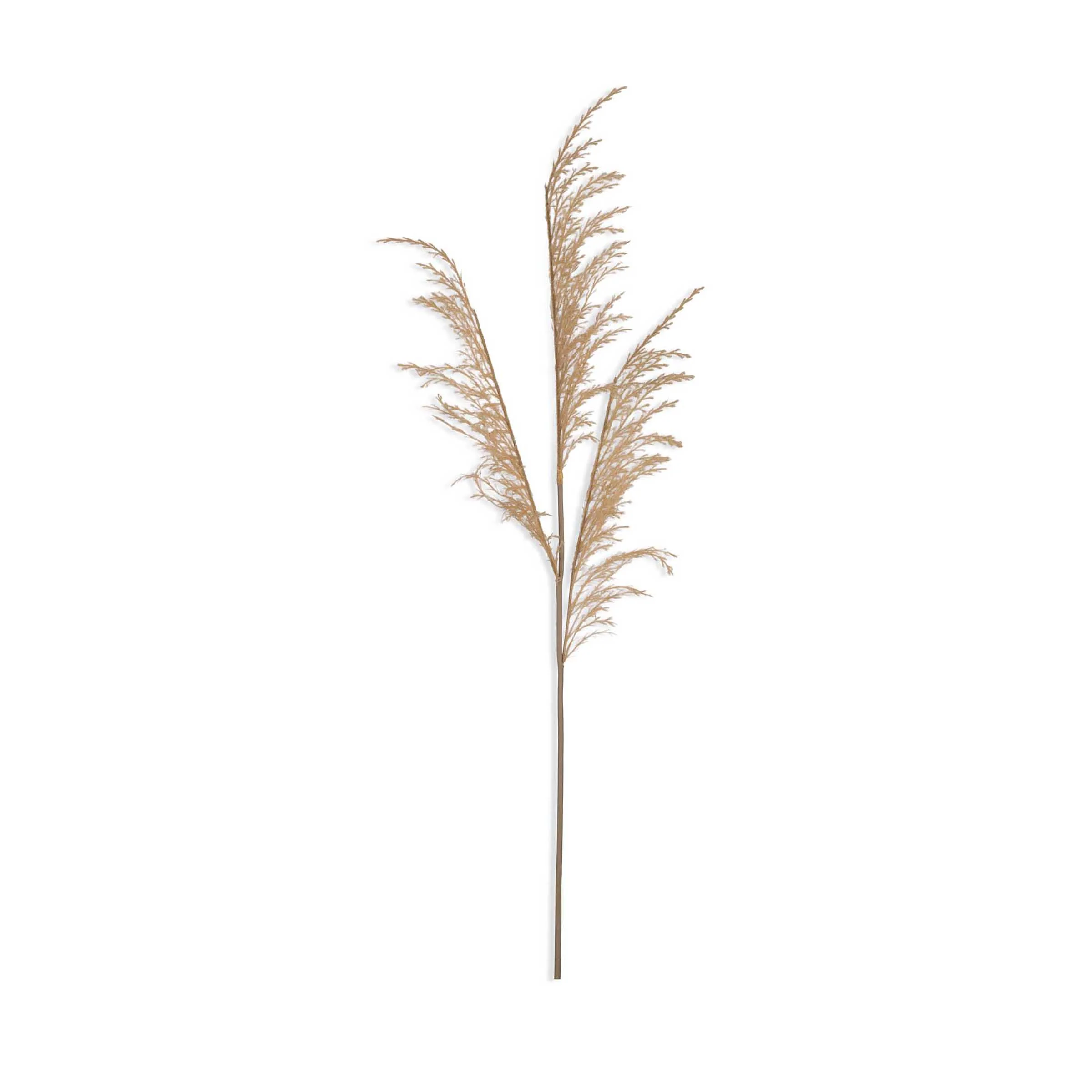 Artificial Wild Grass Stem, Oat - Image 2