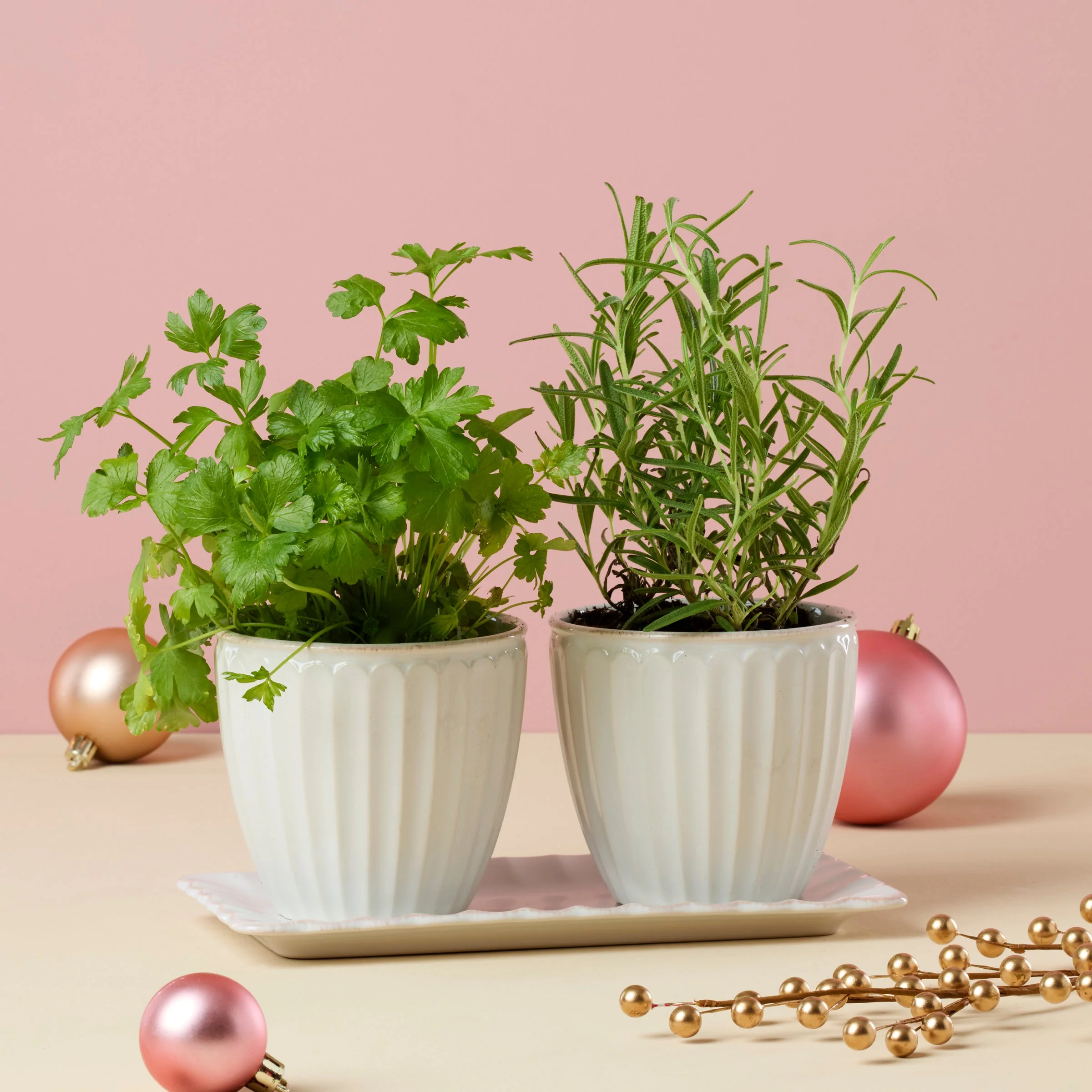 French Perle Scallop White 3-Piece Herb Pot Set - Image 4
