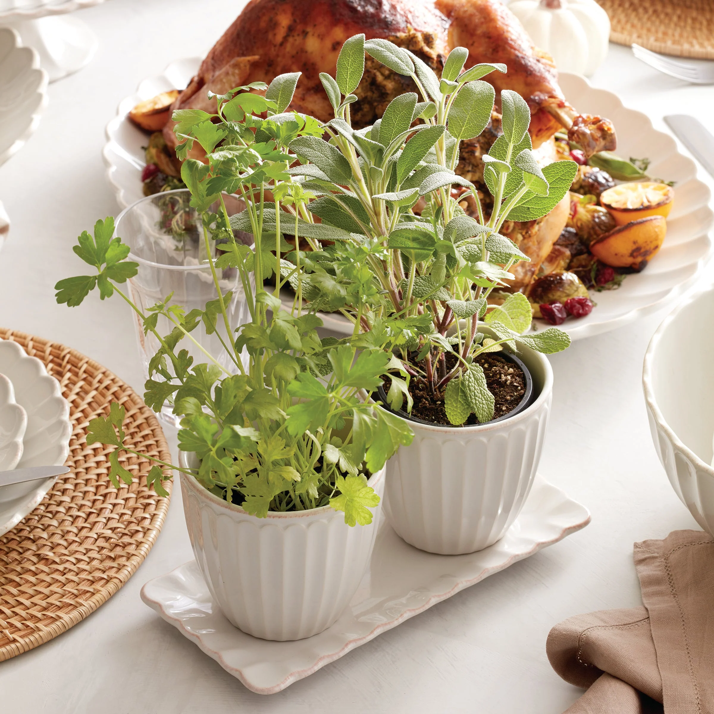 French Perle Scallop White 3-Piece Herb Pot Set - Image 5