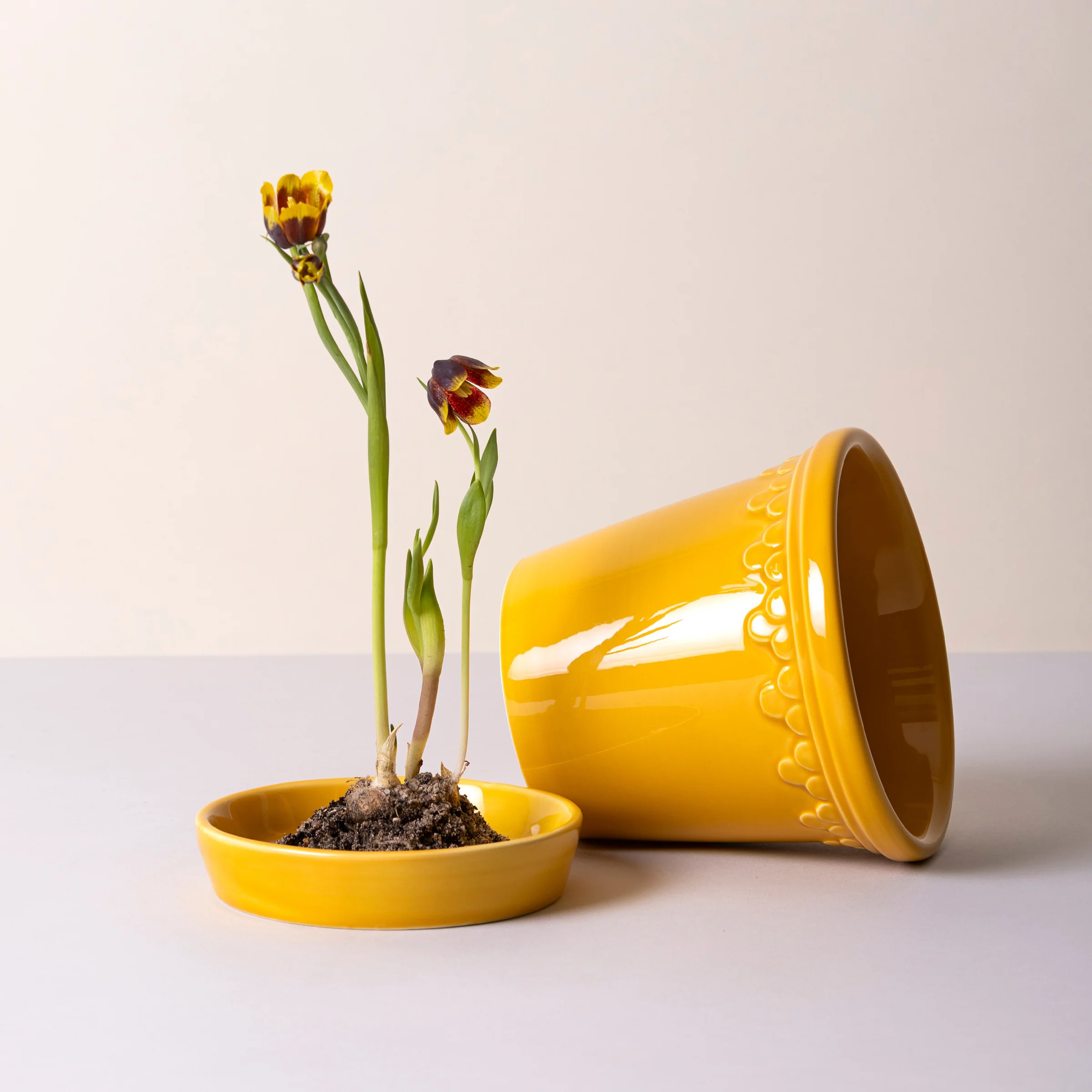 Kobenhavner Glazed Amber Yellow 16cm Pot with Saucer - Image 3